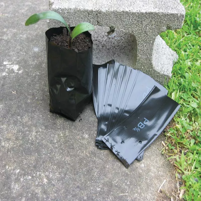 (x100) Planter Bags – PB 3